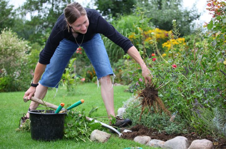 Back Pain When Gardening : 5 Ways To Prevent It image