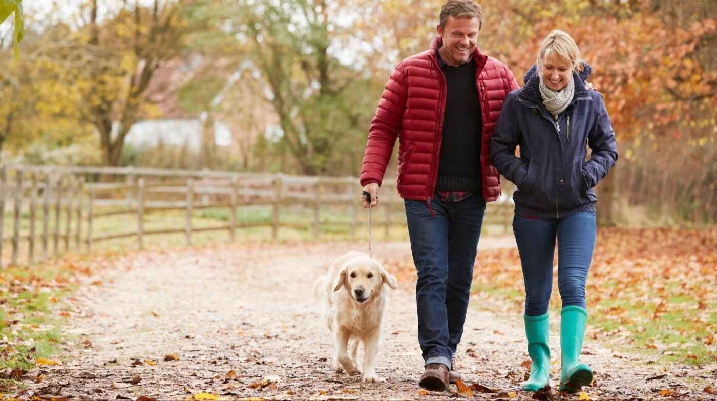  Why Walking is the Perfect Autumn Exercise 