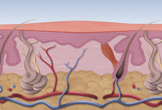 Swift Treatment - Breakthrough Treatment Now Available For Stubborn Verruca | The House Clinics