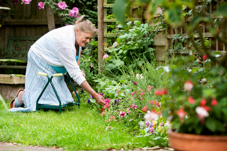 Take regular breaks and stretch while gardening to avoid back pain, The House Clinics, Bristol